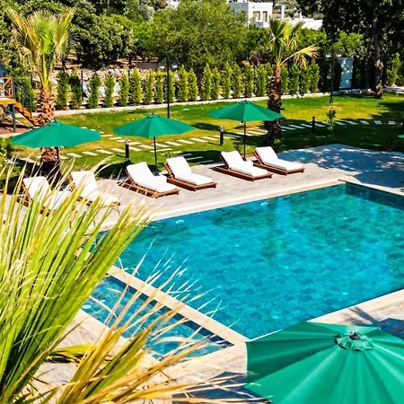Elasu * Bodrum