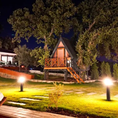 Elasu * Bodrum